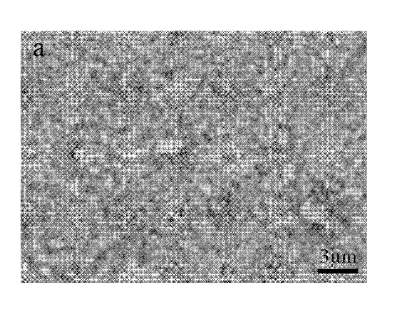 Method for preparing multiferroic single-phase bismuth ferric ceramic