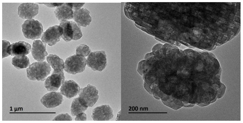 Titanium silicalite molecular sieve, preparation method thereof and method for producing ketoxime through ammoximation reaction of macromolecular ketones