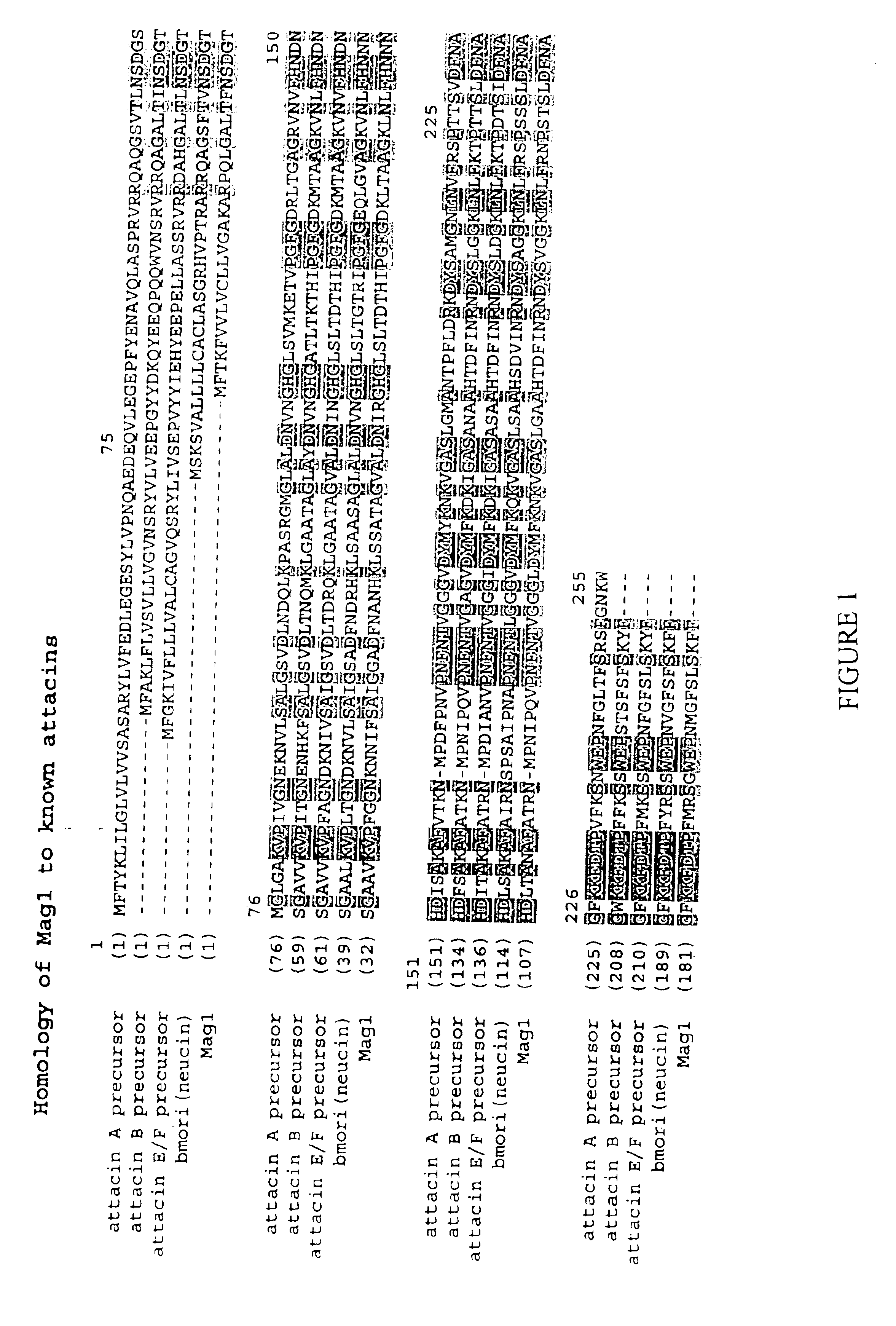 Nucleic acid encoding the FUS6 antimicrobial polypeptide of Agrotis ipsilon and its use to enhance disease resistance in a plant