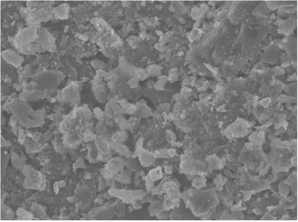 Method for removing hexavalent chromium in wastewater through magnetic adsorbent compounded by chitosan and magnetic biological carbon