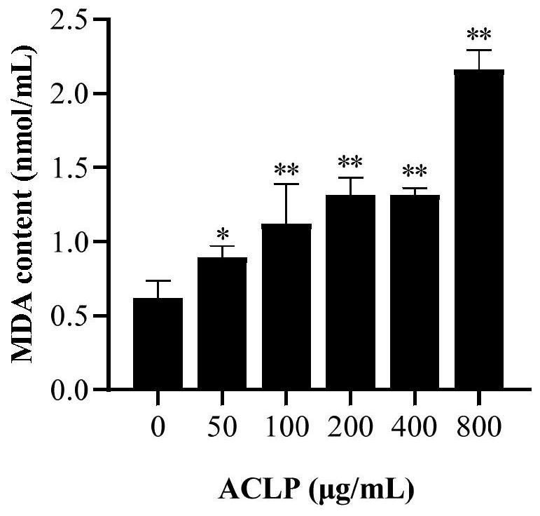 Application of amaranthus caudatus crude polysaccharide in preparation of anti-hepatoma drugs