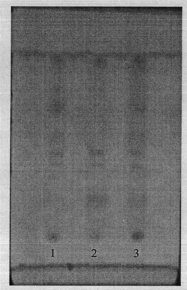 Artificially processed bear bile powder and preparation method thereof