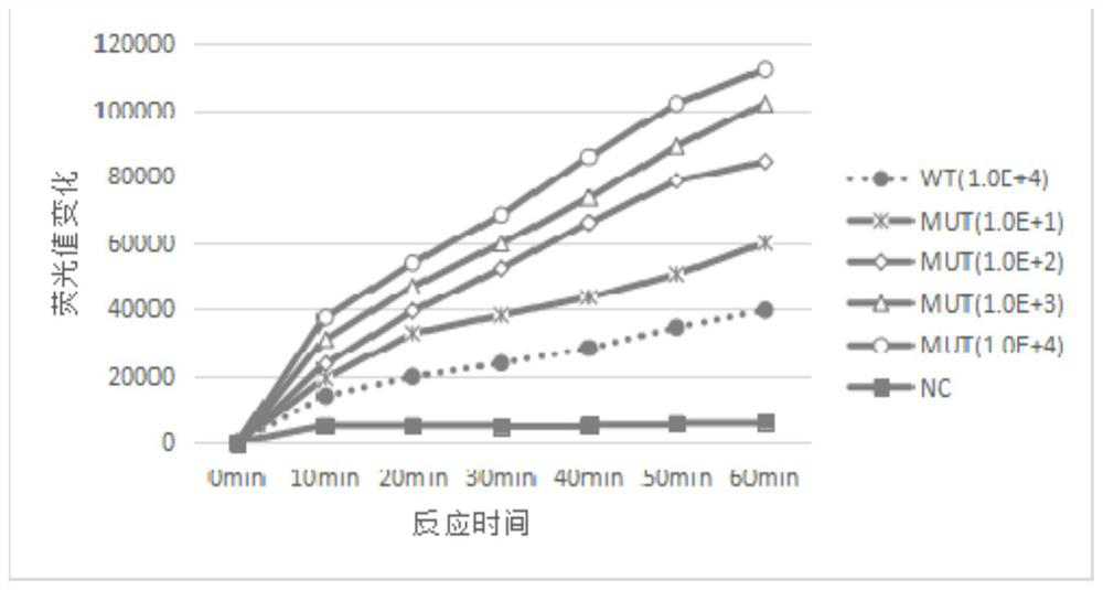 Detection kit and detection method for gene mutation of lung cancer-related molecular markers