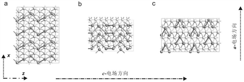 Graphene/double-layer tellurene/borane Van der Waals heterojunction photodiode device