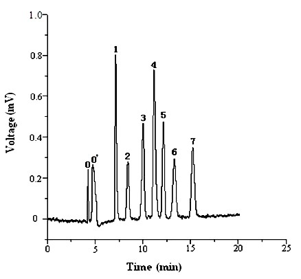 Neutral hydrophilically-interacted hybrid silicagel-based monolithic column