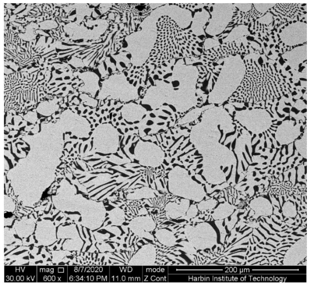 Method for improving high-temperature oxidation resistance of AgCu alloy by using three-dimensional network reinforced phase