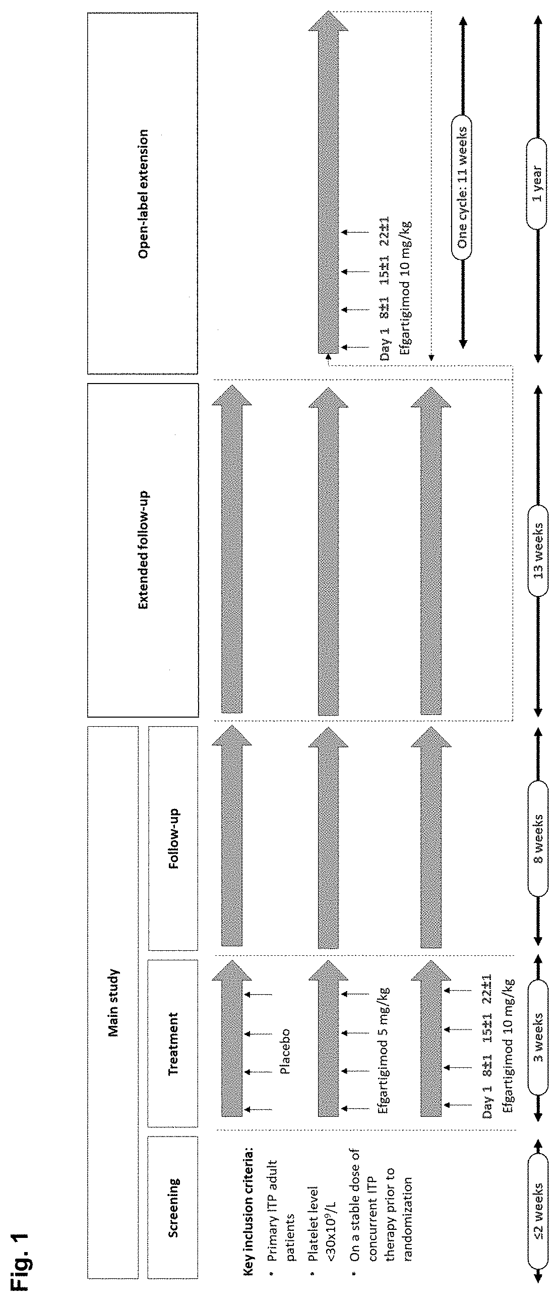 Compositions and methods for treating immune thrombocytopenia