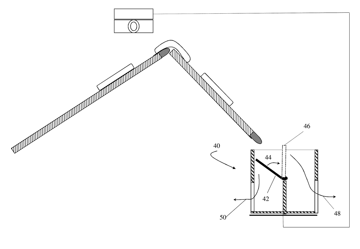 Imaging system for sorting poultry meat with wooden breast myopathy