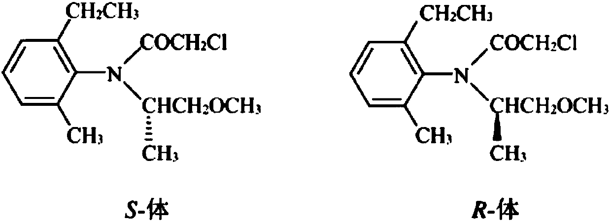 Pesticide composition and application thereof