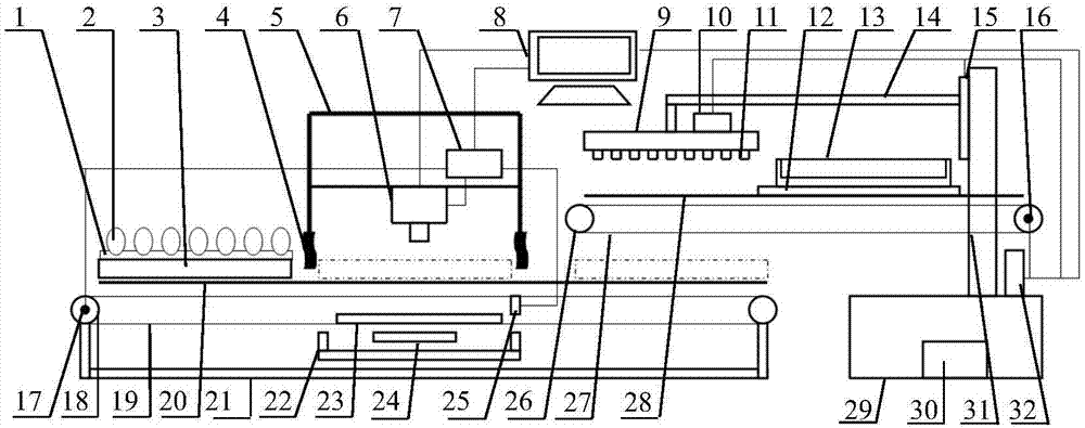 Poultry fertilized egg detection and screening device based on machine vision