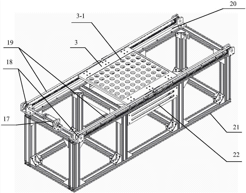 Poultry fertilized egg detection and screening device based on machine vision