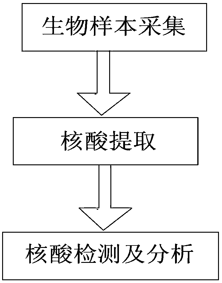 Nucleic acid extraction device capable of preventing cross-contamination