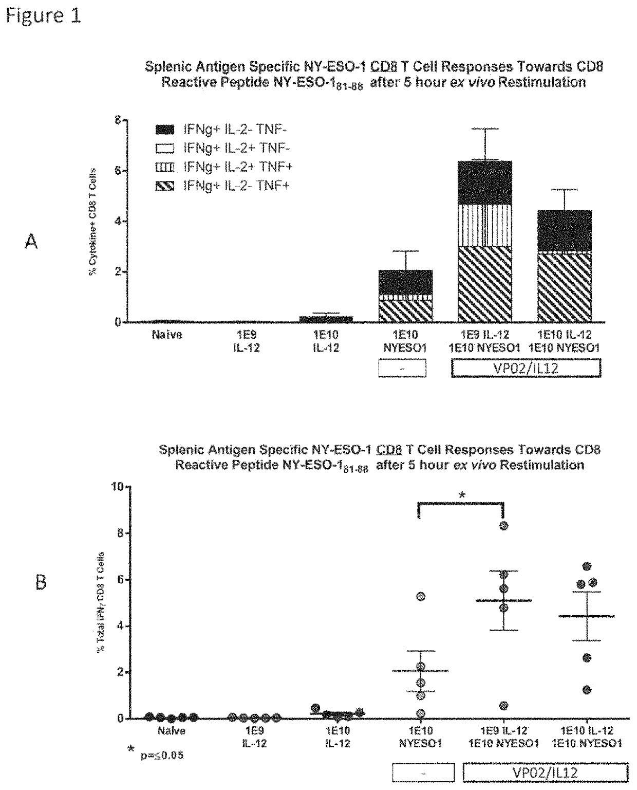 Compositions comprising lentiviral vectors expressing IL-12 and methods of use thereof