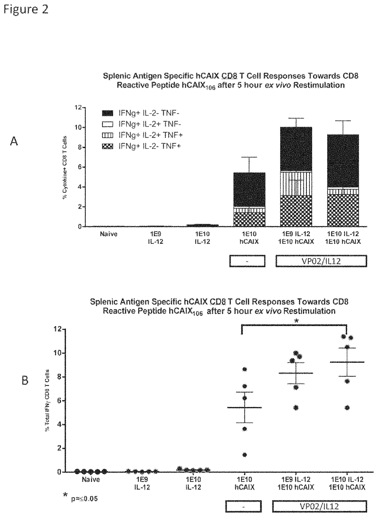 Compositions comprising lentiviral vectors expressing IL-12 and methods of use thereof