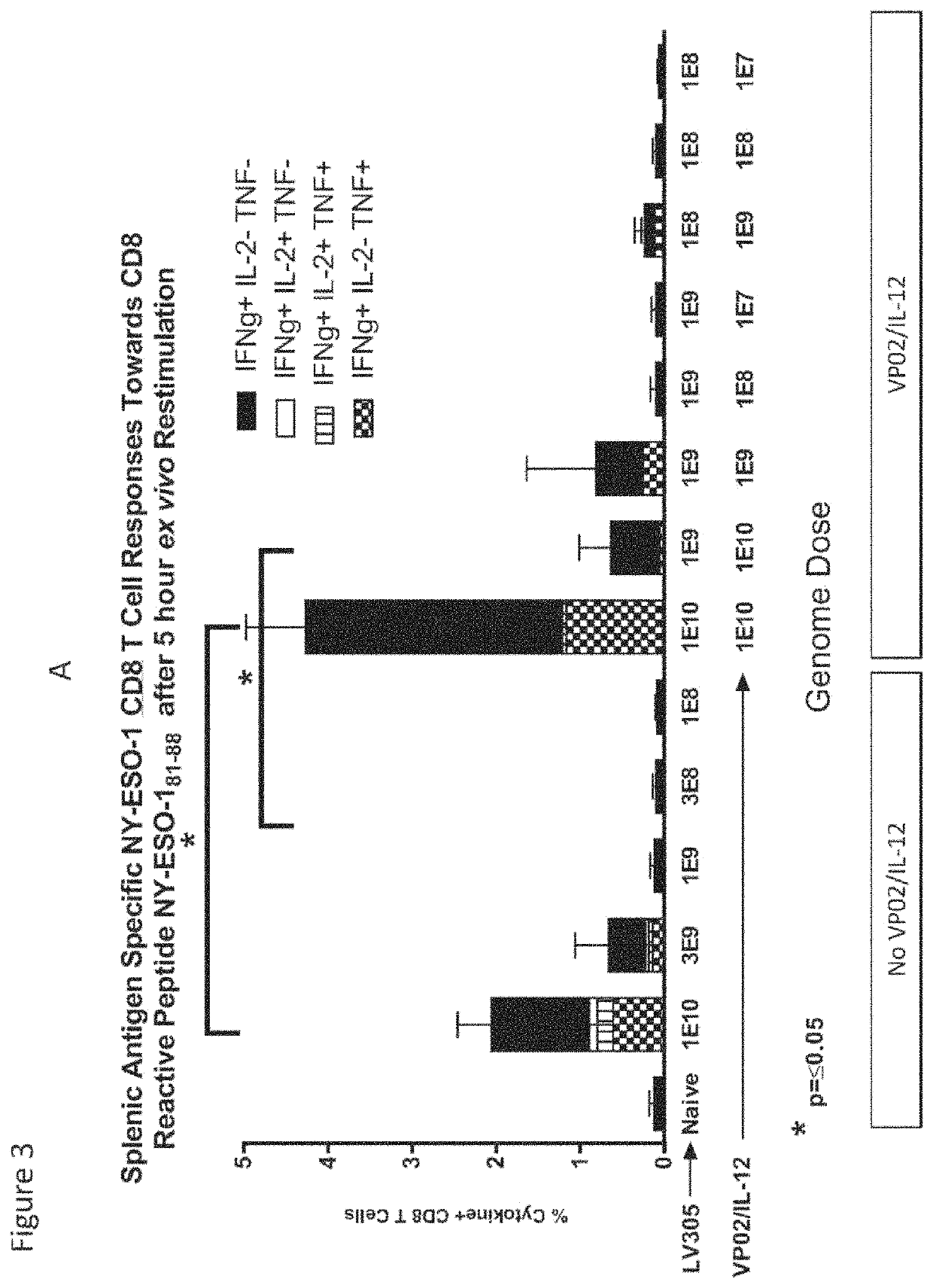 Compositions comprising lentiviral vectors expressing IL-12 and methods of use thereof