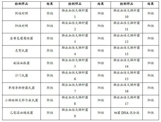 Enterorrhagia colibacillus stx1 gene detection kit and application method thereof