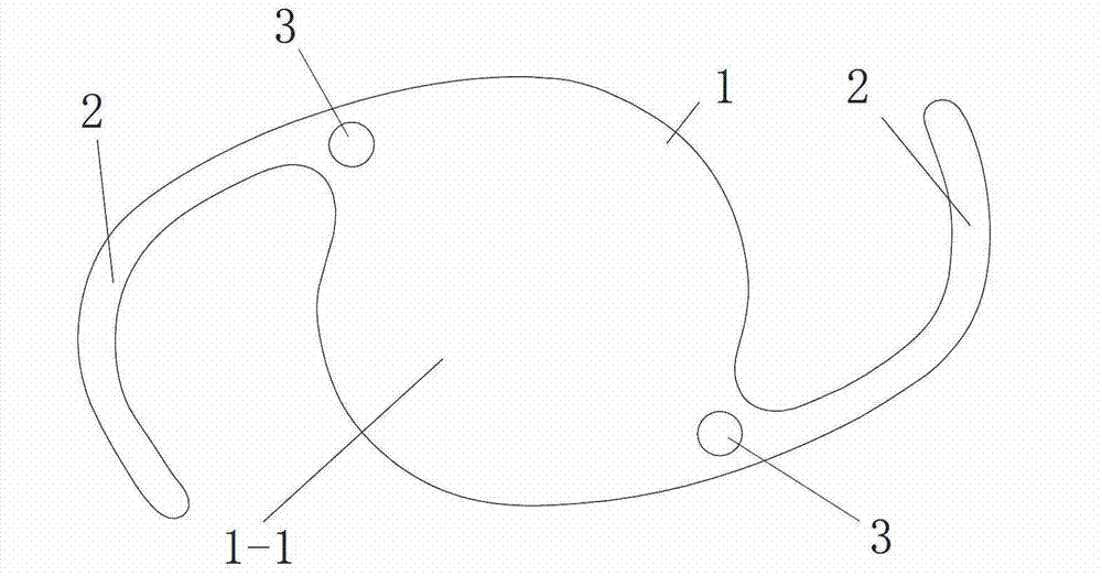 Artificial lens with drug sustained release micro-capsules inlaid on loop and manufacturing method thereof