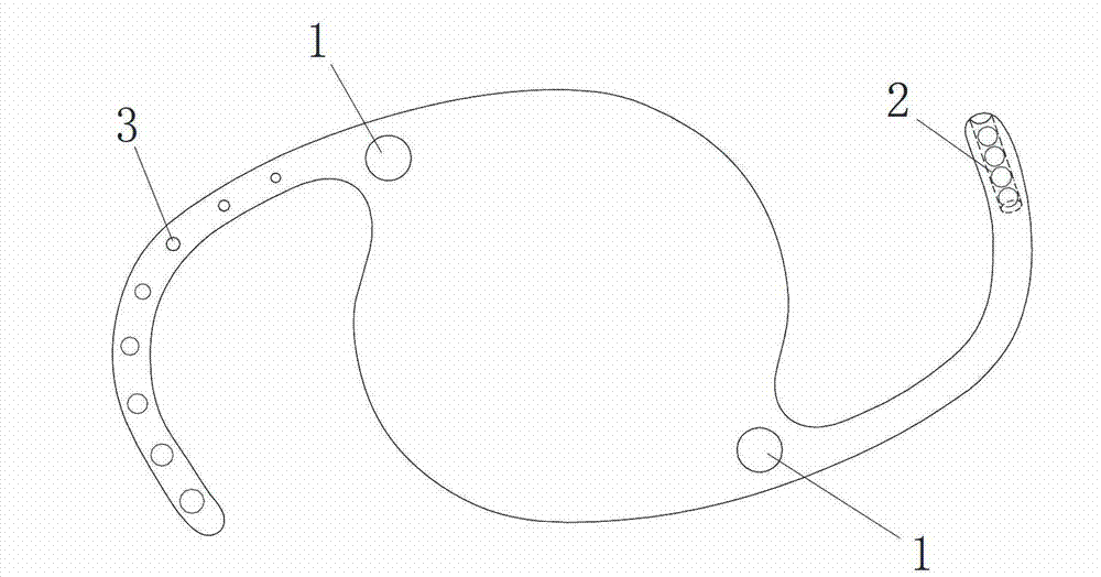 Artificial lens with drug sustained release micro-capsules inlaid on loop and manufacturing method thereof