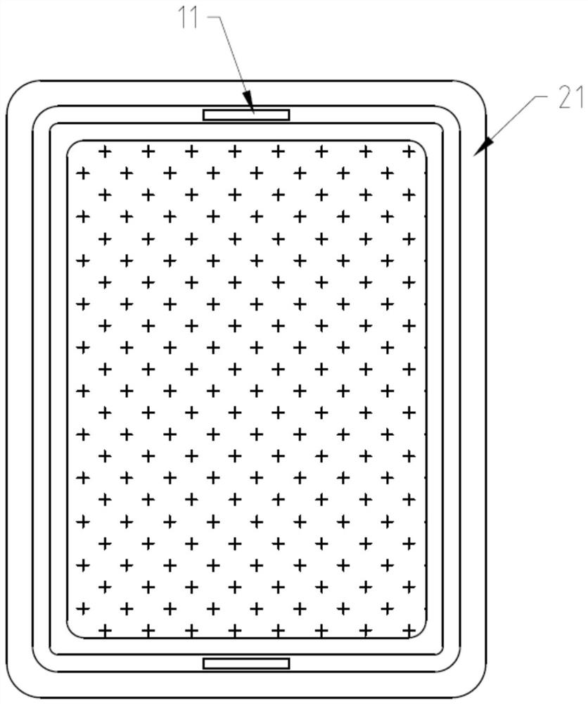 A method for cultivating peanut seedlings in sand hydroponics