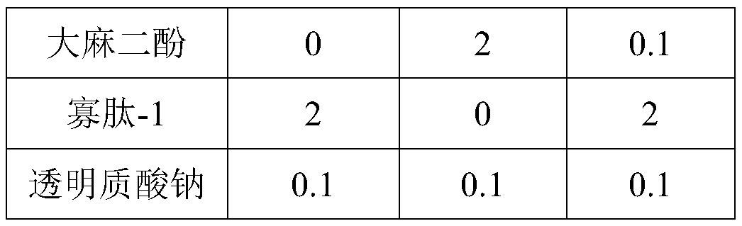 Anti-aging composition, essence stock solution and preparation method of anti-aging composition