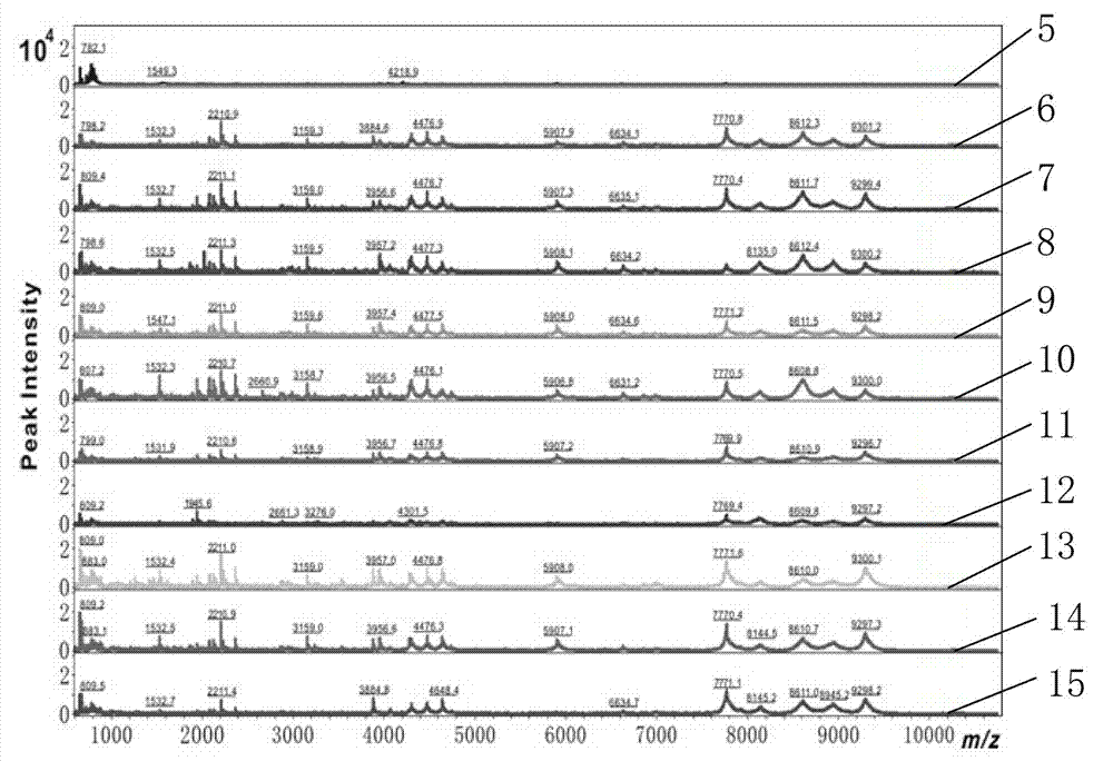 Preparation method of low-abundance low-molecular-weight protein-rich material