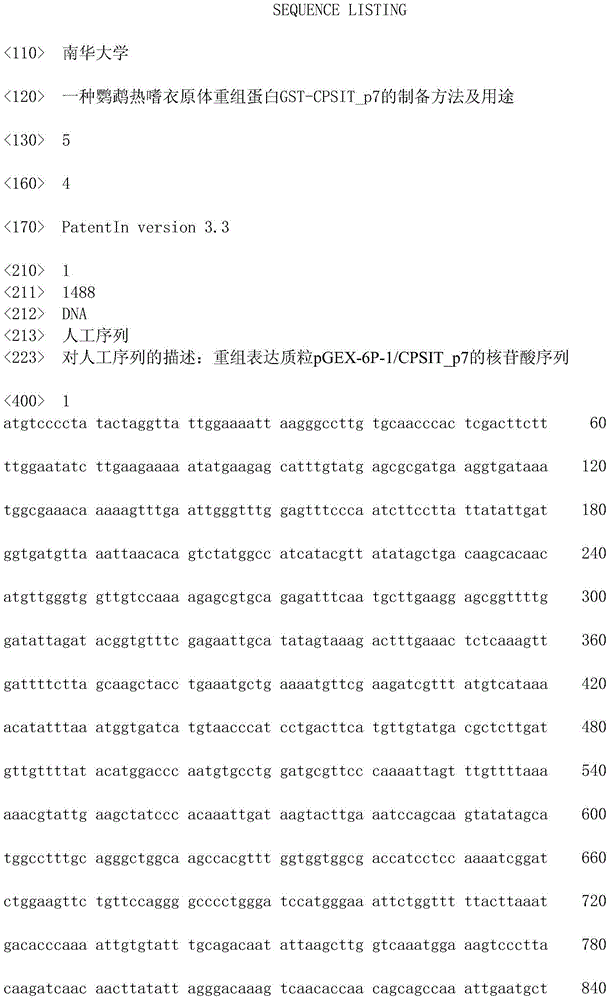 Preparation method and application of chlamydophila psittaci recombinant protein GST-CPSIT_p7