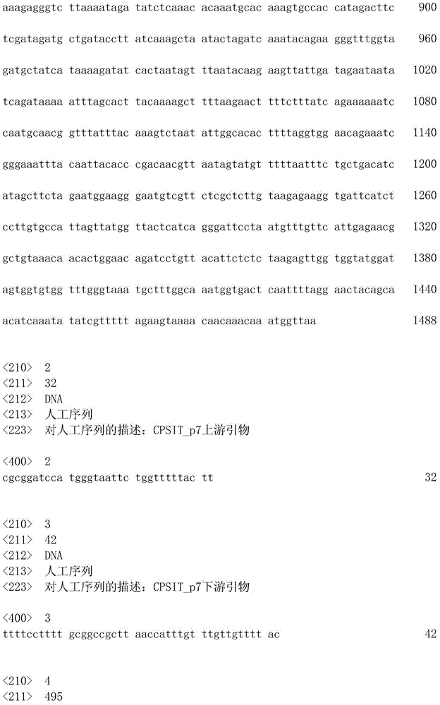 Preparation method and application of chlamydophila psittaci recombinant protein GST-CPSIT_p7