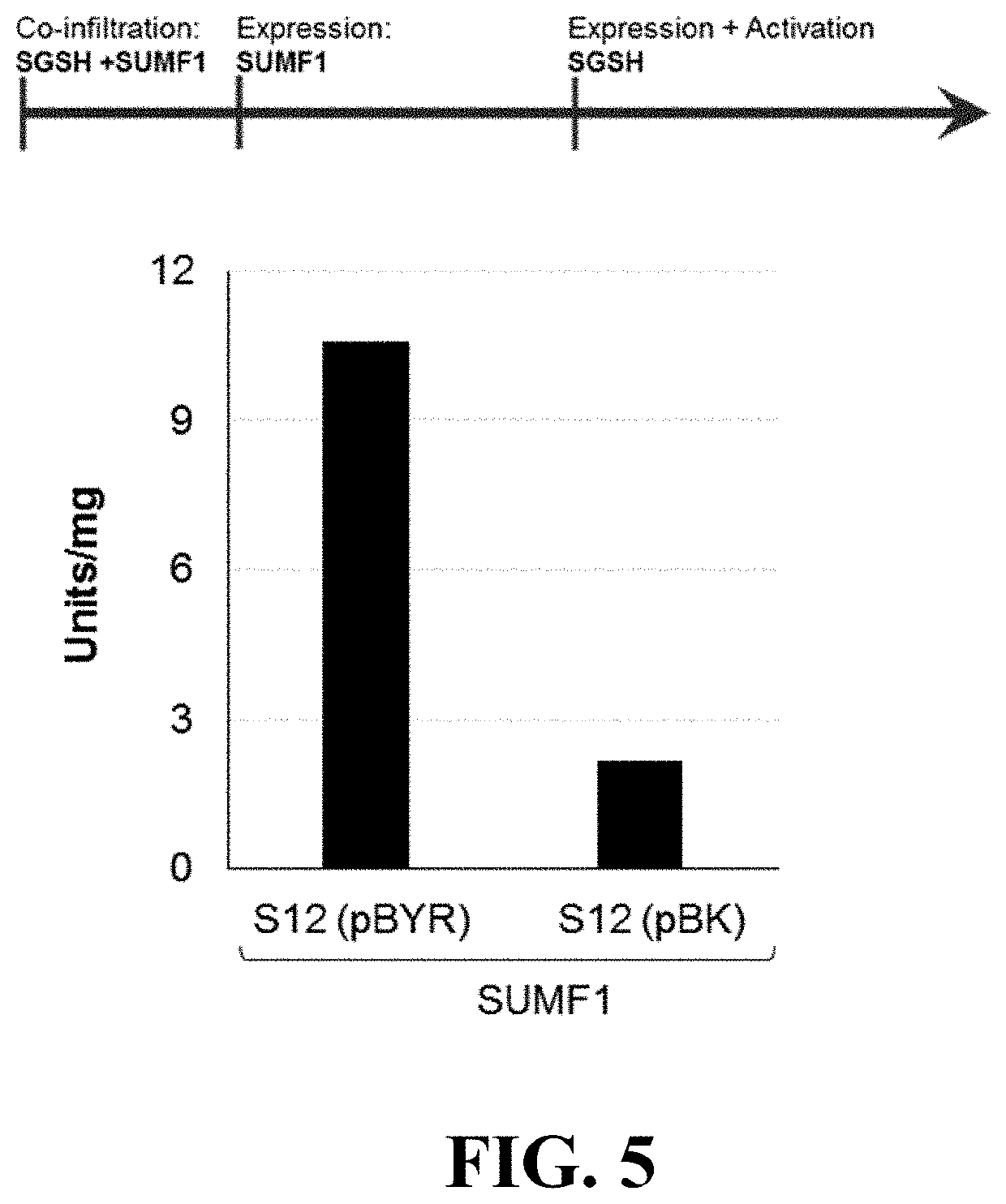 Materials and methods for treating disorders associated with sulfatase enzymes