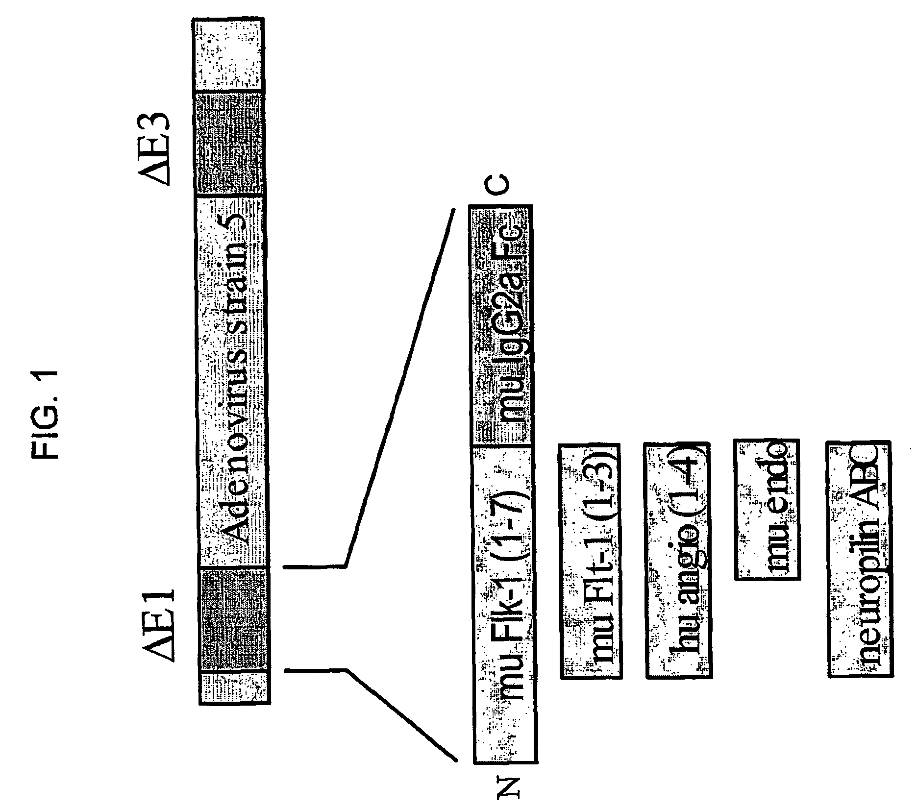 Method for treating cancer and increasing hematocrit levels