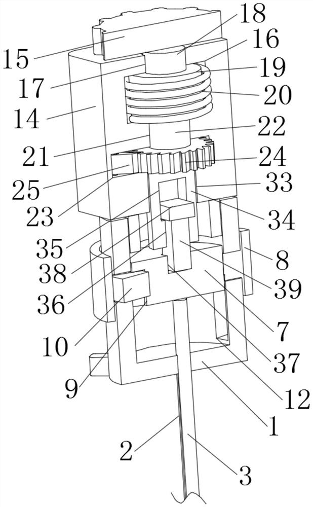 Biopsy puncture device and method based on kidney internal medicine