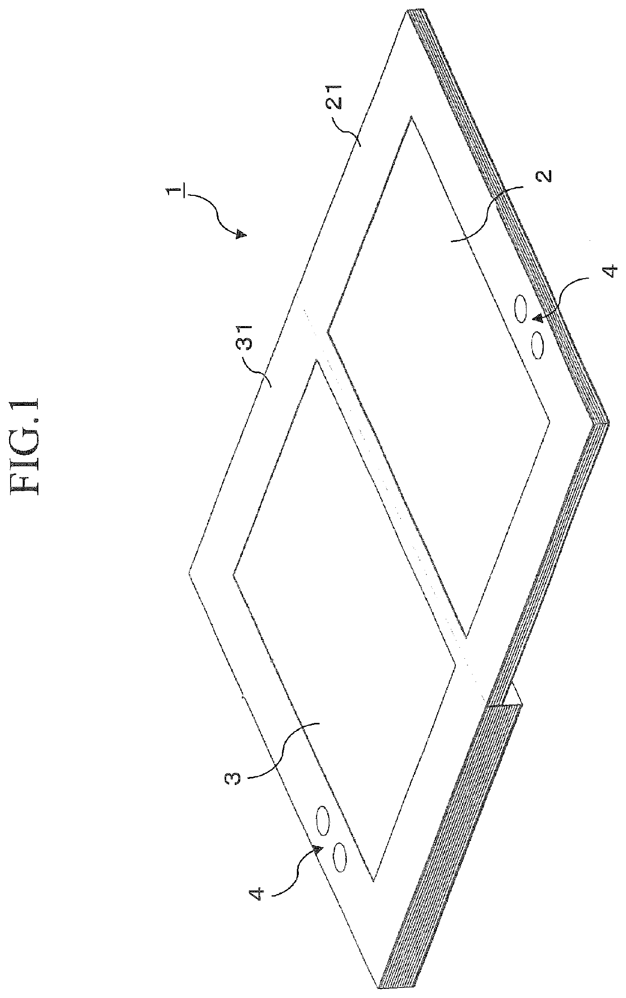 Electronic Display Device And Electronic Display Method