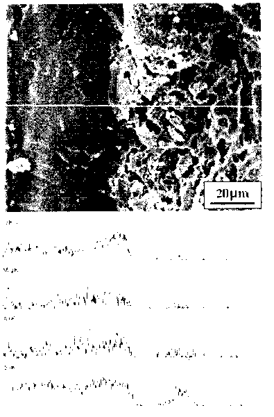 Method for preparing silicon nitride-based sealing coating