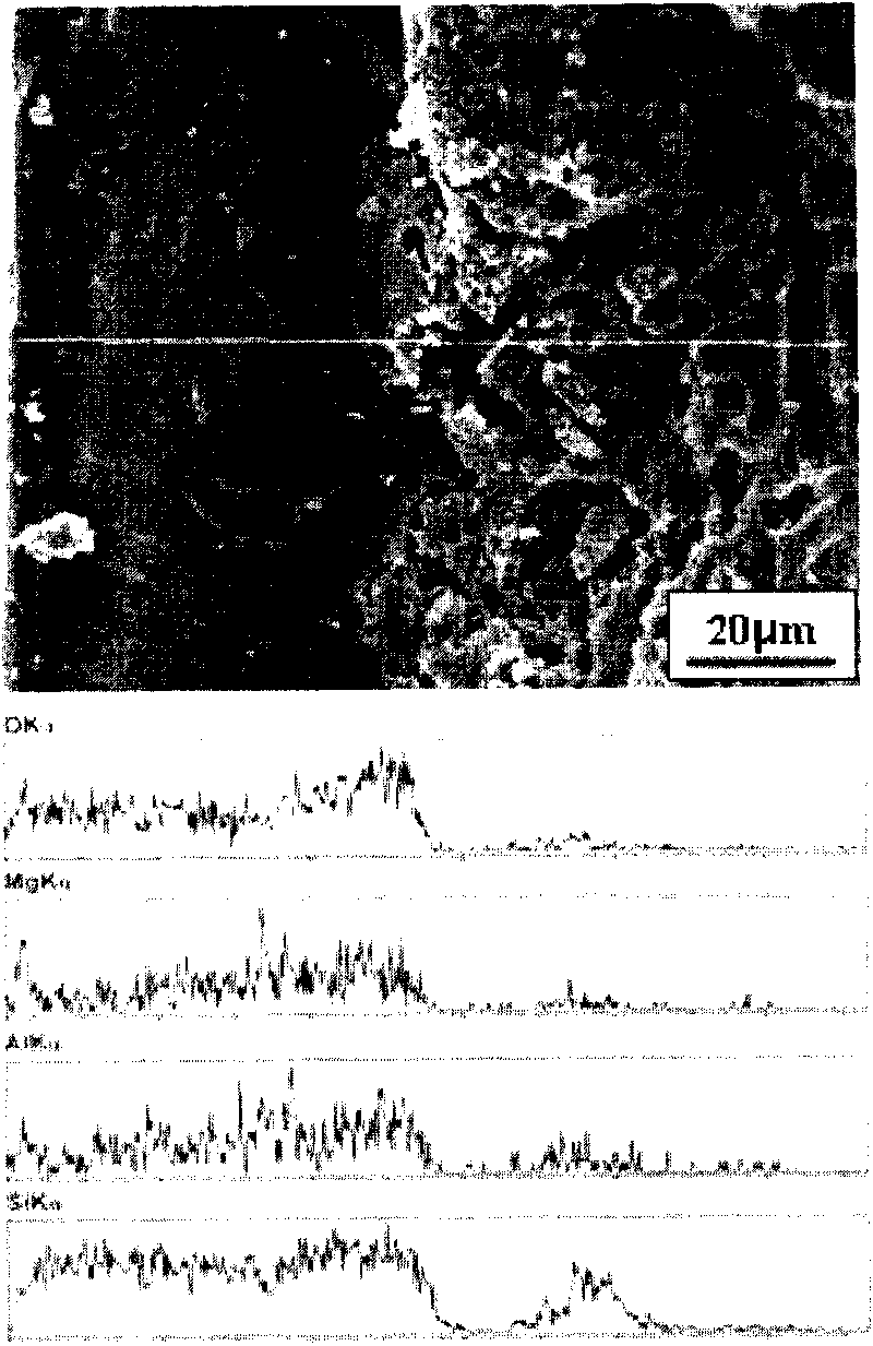 Method for preparing silicon nitride-based sealing coating