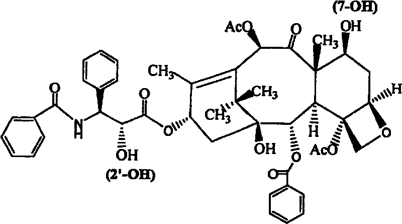 Amphiphilic tri-block copolymer taxol bonding medicament and synthesis method thereof