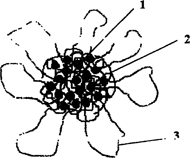 Amphiphilic tri-block copolymer taxol bonding medicament and synthesis method thereof