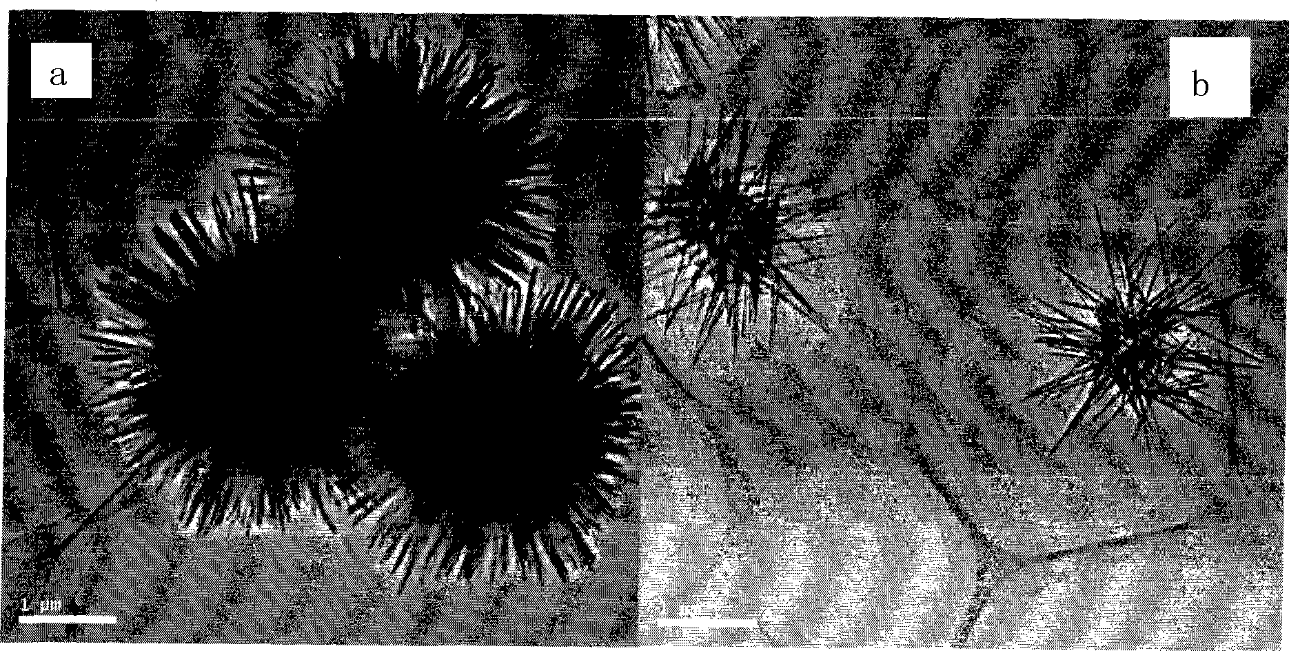 Method for synthesizing alpha-MnO2 micrometre hollow sphere and nanocluster