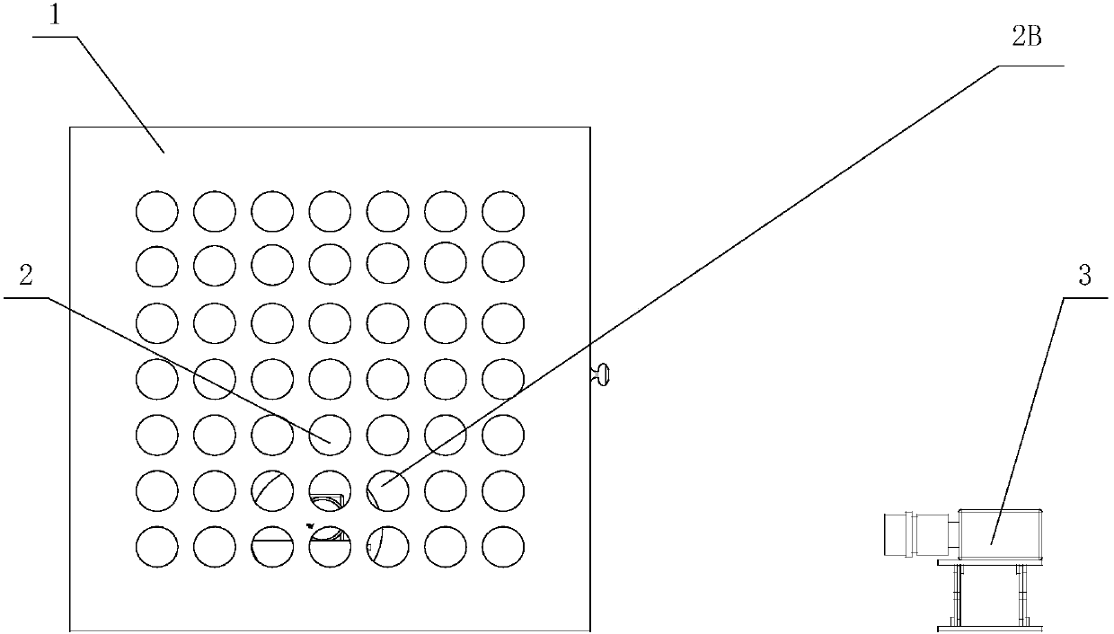 Device and method for observing insect movement and heat distribution