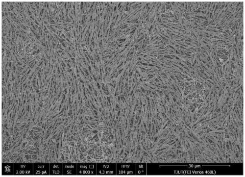 Conductive silver paste applied to ceramic filter and preparation method thereof