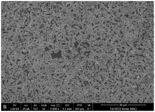 Conductive silver paste applied to ceramic filter and preparation method thereof