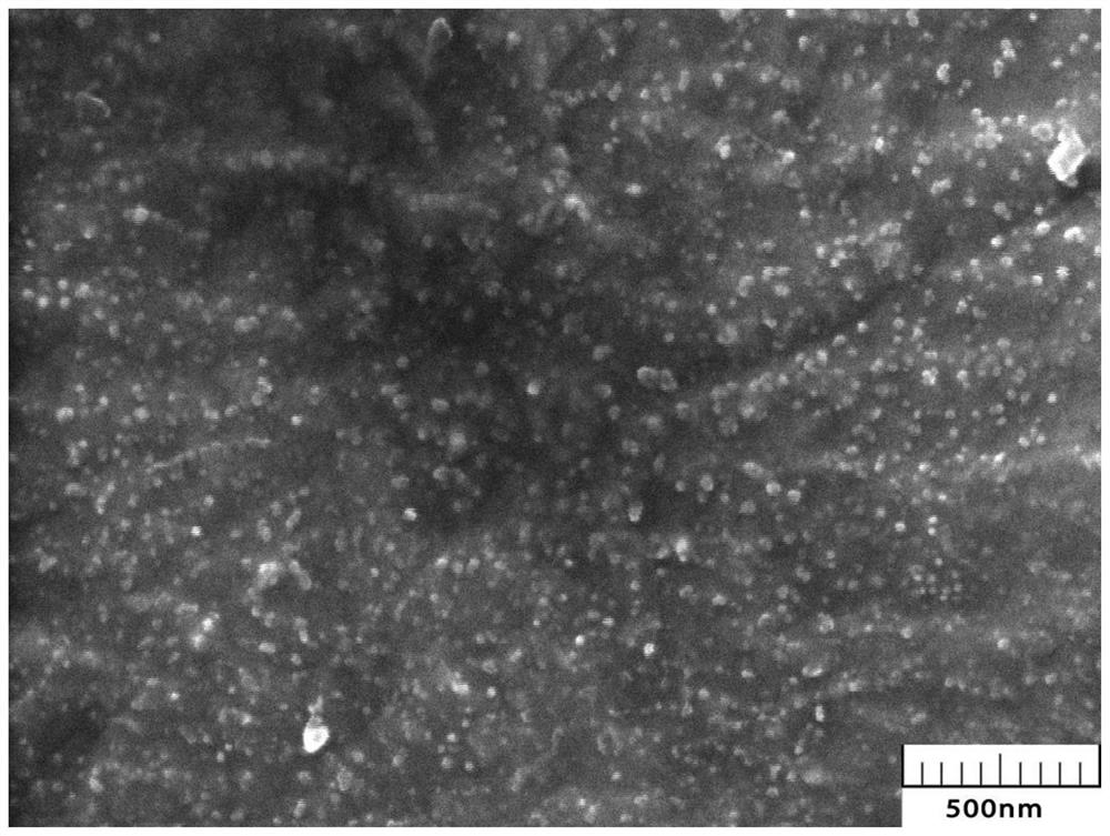 Image Acquisition Method of Nano Precipitates Based on Scanning Electron Microscope Backscattering Mode