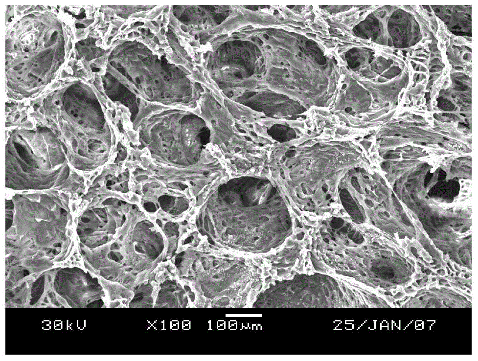 Porous support for cartilage tissue engineering and preparation method thereof