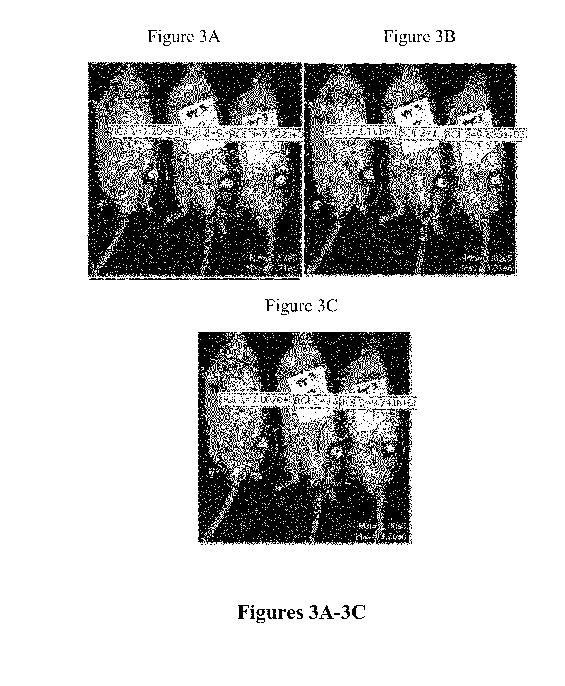 Messenger RNA Therapy for Treatment of Articular Disease