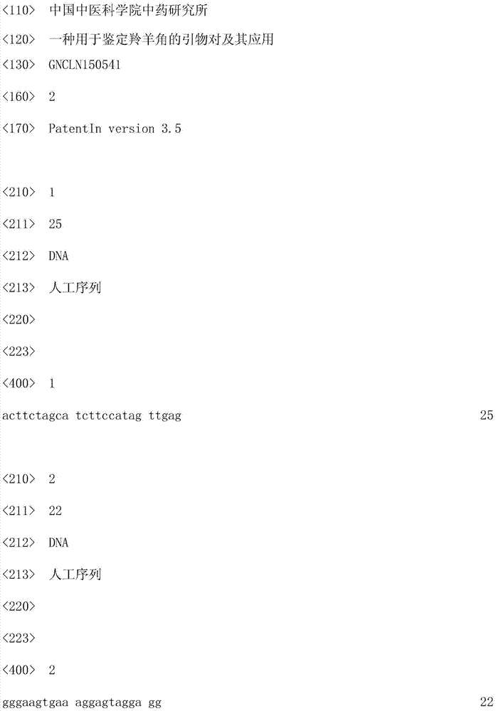 Primers for identifying antelope horn and application thereof