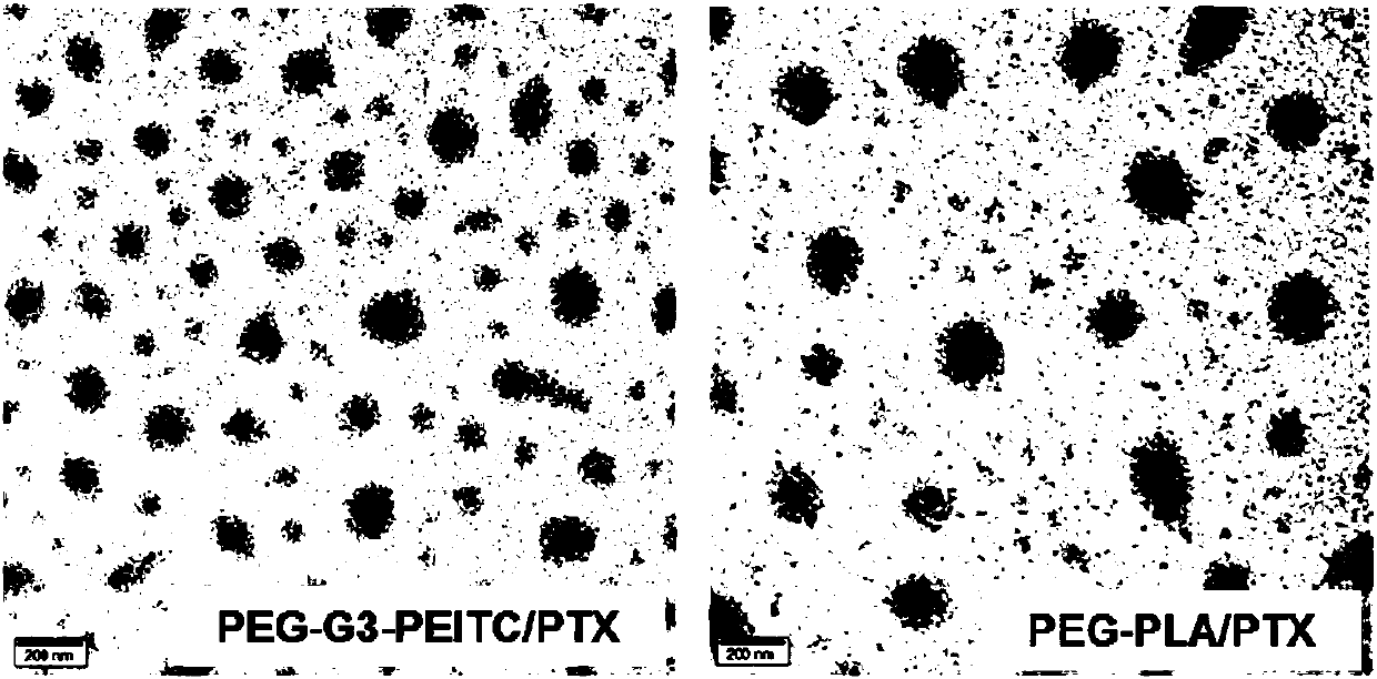 PEG (polyethylene glycol)-polylysine/isothiocyanate bonding compound and application thereof as drug carrier