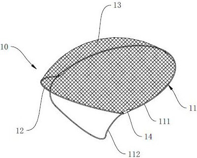 Anti-embolism protection device and medical device