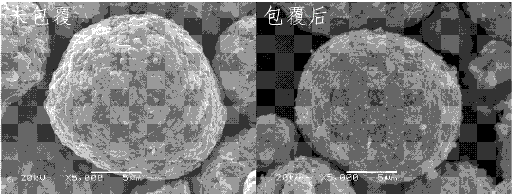 Nickel-based material, preparation method of nickel-based material, and lithium ion battery