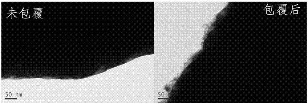 Nickel-based material, preparation method of nickel-based material, and lithium ion battery