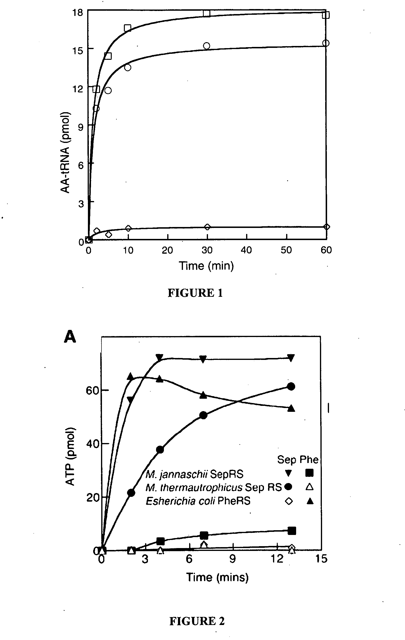 Site specific incorporation of phosphoserine into polypeptides using phosphoseryl-tRNA synthetase