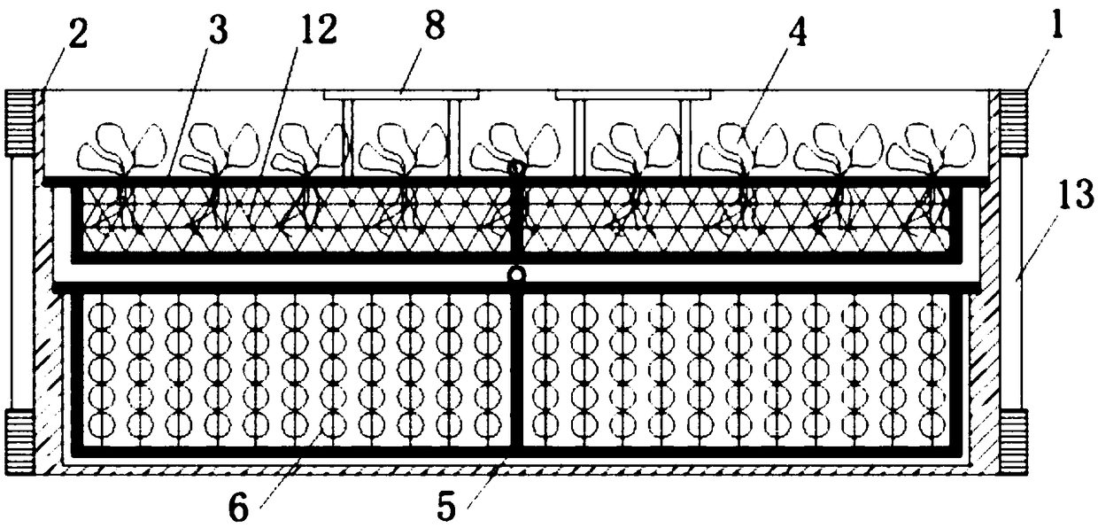 Ecological floating bed with enhancement of denitrifying and dephosphorizing functions