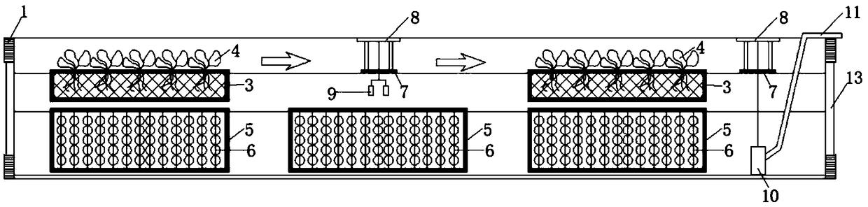 Ecological floating bed with enhancement of denitrifying and dephosphorizing functions